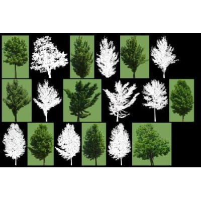 Coleccion de arboles de 2  - opacidad