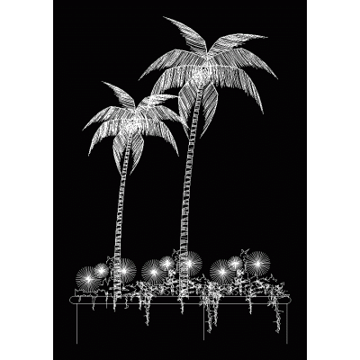 Palmeras