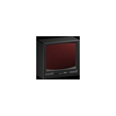 TV 21