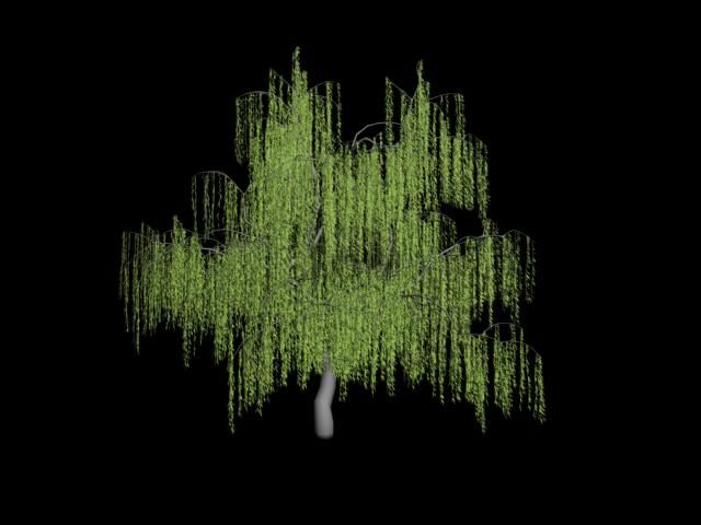 3D-Vray-Baum - Weide