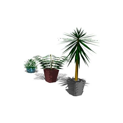 Plantas de interior