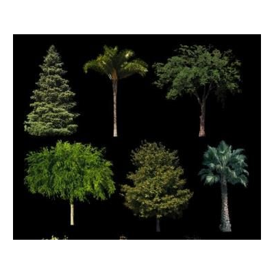 Arboles y vegetacion