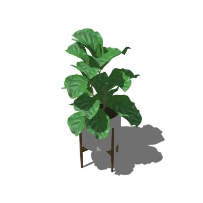 Plantas decorativas de interior texturizadas