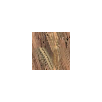 Trama del tronco di legno