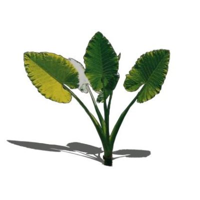 Planta 3d