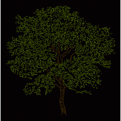 Arbol
