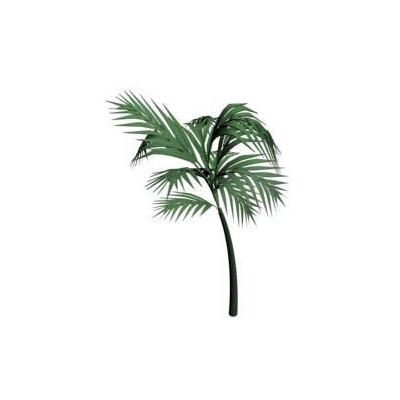 Palmera Tropical 3D