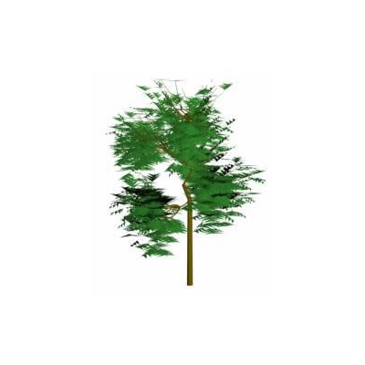 Arbol