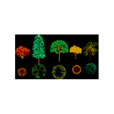 Arboles alzado y planta colores