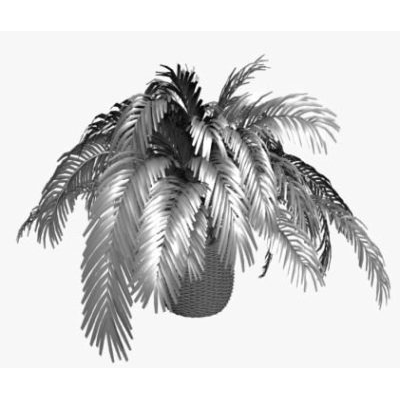 Plantas 3d