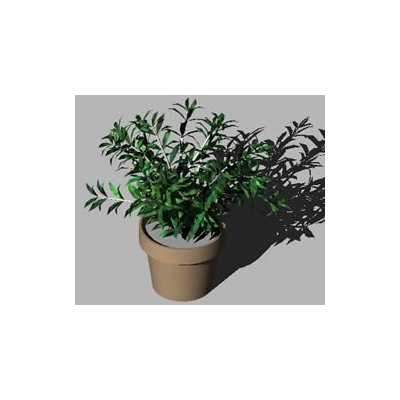 Planta con maceta 3d