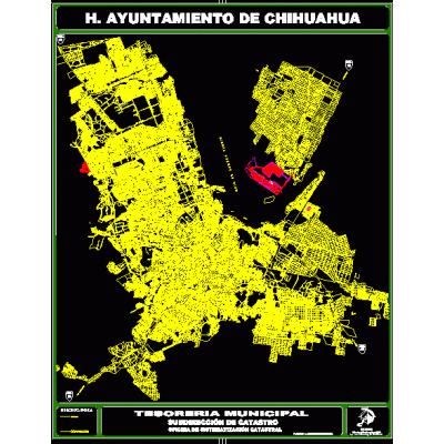 Traza chihuahua