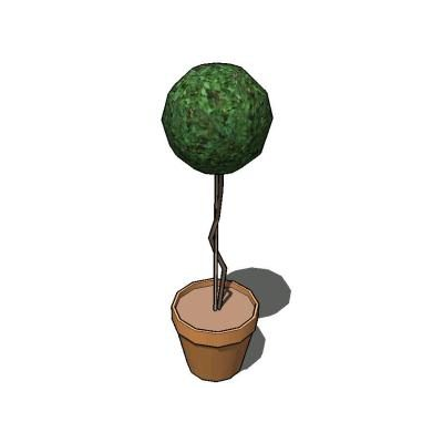 Planta en maseta