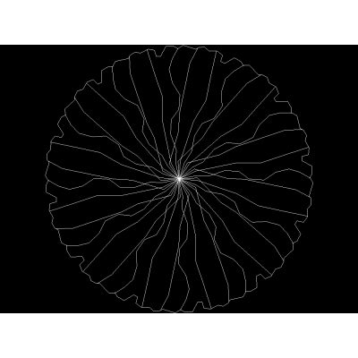 arbol Radial en Planta