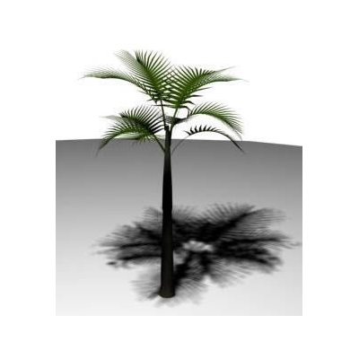 Palmera Tropical en 3D