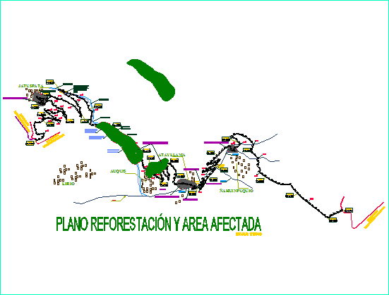 plano de reflorestamento