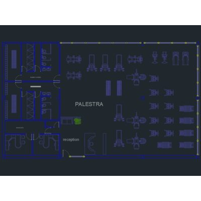 Plan of gym in autocad refined