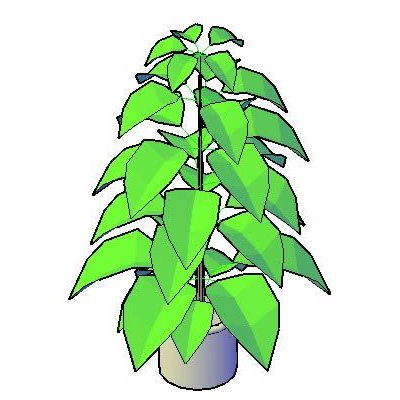 Ficus Decorativo en 3D