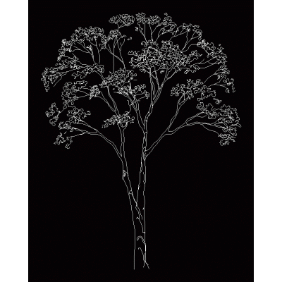 Arboles