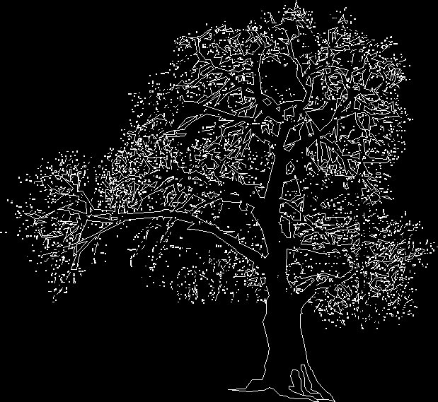 old trees 2d