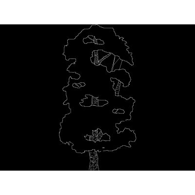 Arbol elevacion