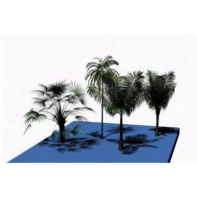 Palmeras