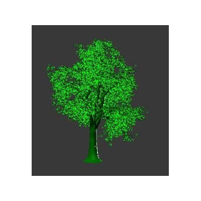 Arbol 3d