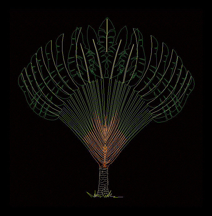 ravenala palm tree