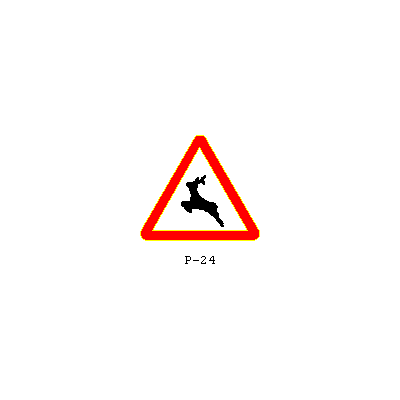 P-24