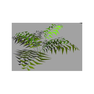 Arbusto 3d