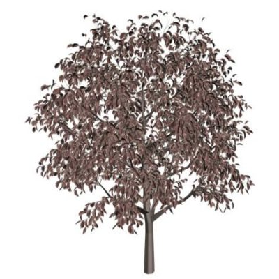 3d textured purpleleave tree
