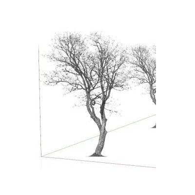 Tree 3d sketchup skp