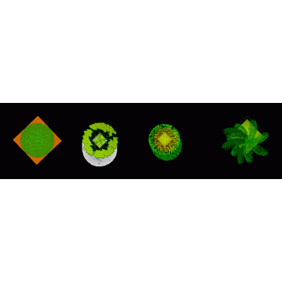 Plants with textures