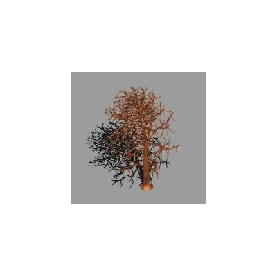 Tree without foliage 3d
