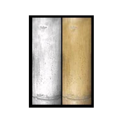 Texture di bambù dettagliata