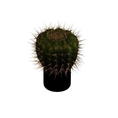 Cactus 3d
