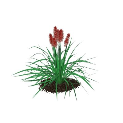 Plantas para jardines 3d de alta definicion