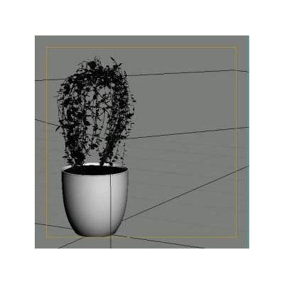 Plantas ornamentales