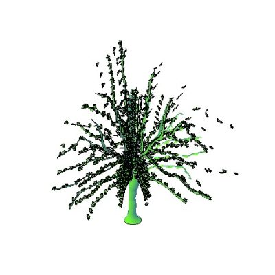 Detailed 3D Platanus Tree