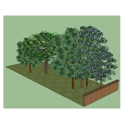 reforestation with trees