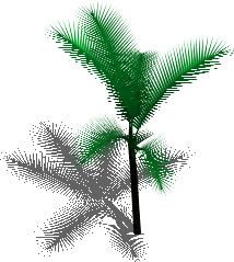 palmeira em 3d