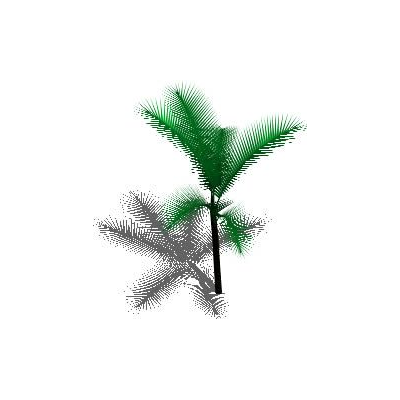 palmeira em 3d