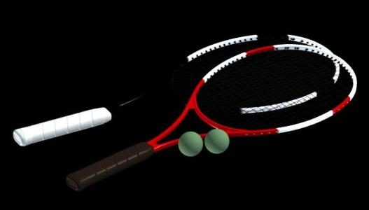 Article de sport - tennis max
