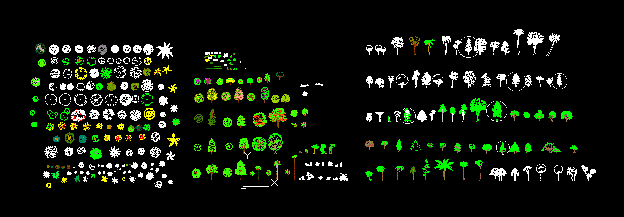 2D Bäume