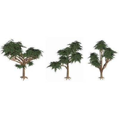 Arboles 3d primeval forest