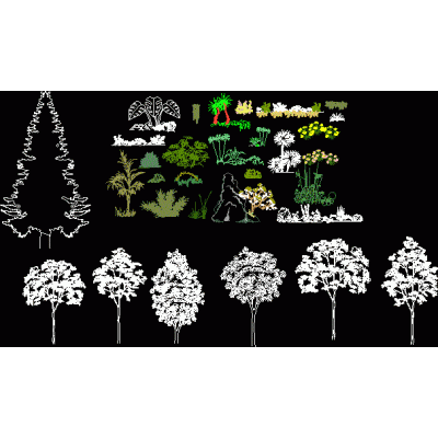 Arboles