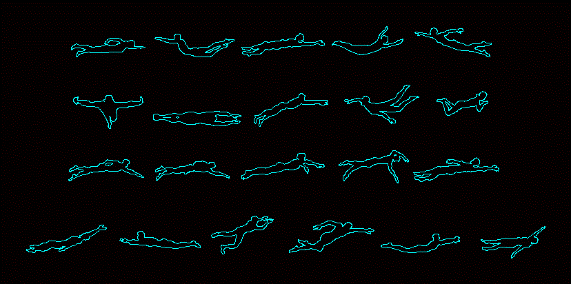 silhouettes de personnes nageant