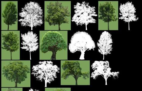 Tree collection of 1 - opacity