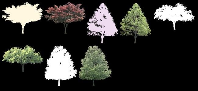 Tree collection of 7 - opacity