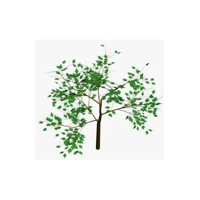 3d tree